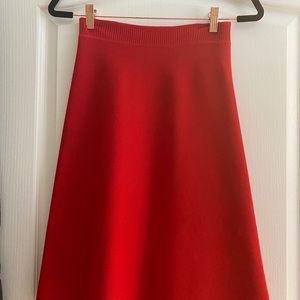 Alexander wang skirt